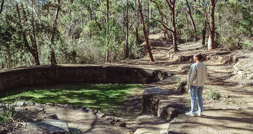 Norman Lindsay Bushwalk
